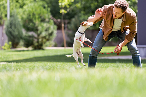 Selective focus of young man feeding jack russell terrier on lawn in park