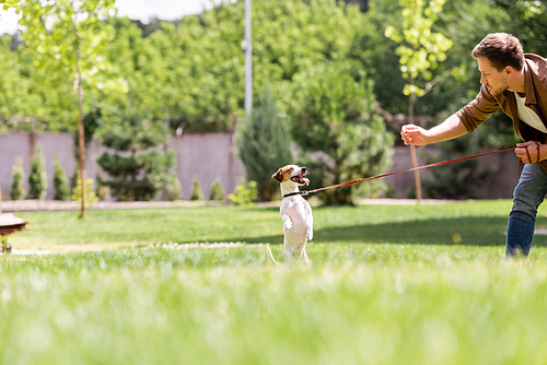 Selective focus of man and jack russell terrier playing in park
