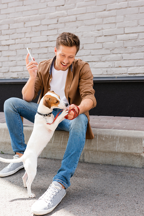 Young man playing with jack russell terrier while holding smartphone on urban street