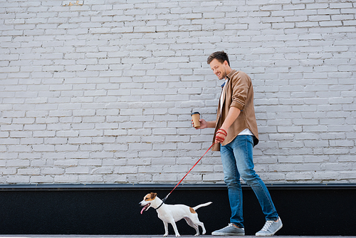 Young man holding coffee to go while walking on leash jack russell terrier near building
