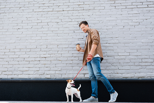 Man with paper cup walking jack russell terrier on leash near building on urban street