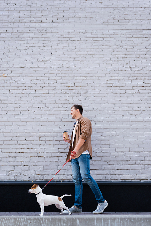 Low angle view of man with coffee to go walking jack russell terrier on leash near building