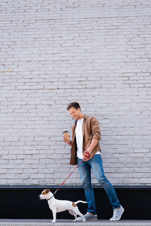 Man in jeans holding disposable cup while walking on leash jack russell terrier near facade of building