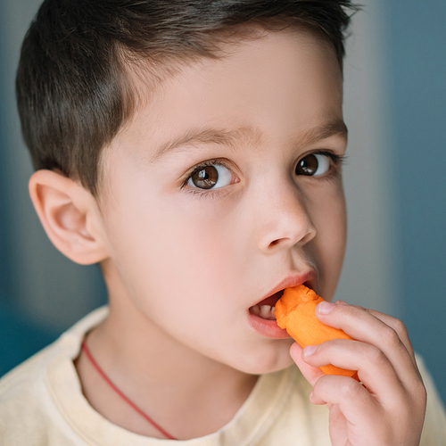 portrait of adorable boy eating fresh carrot and 