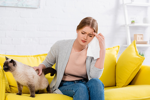 Upset woman with allergy holding napkin near siamese cat