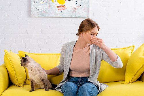 Woman with hand near nose petting siamese cat during allergy