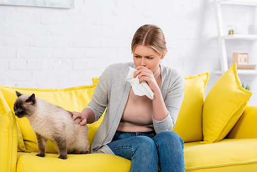 Young woman suffering from allergy near siamese cat on couch in living room