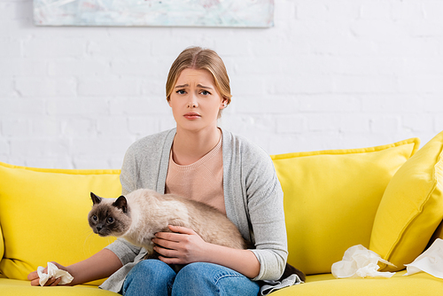 Upset woman holding napkin and siamese cat on couch