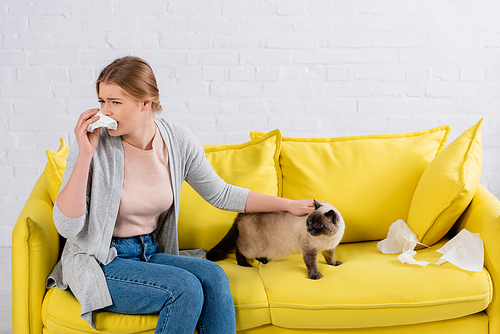 Woman sneezing and holding napkin near cat in living room