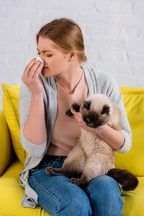 Young woman with allergy holding napkin near nose and siamese cat on sofa