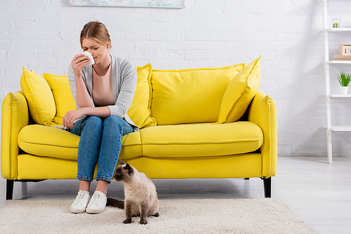 Displeased woman with snuffle holding napkin on couch near siamese cat on carpet