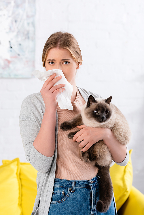 Woman holding napkin during allergy reaction on siamese cat