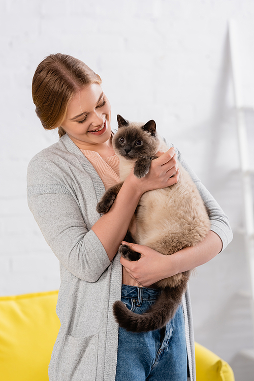 Young smiling woman petting siamese cat at home