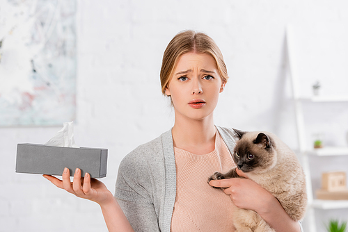 Displeased woman holding box with napkin and siamese cat at home