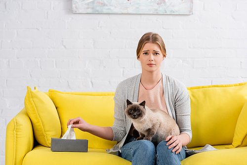 Sad woman with allergy  near box with napkin and siamese cat
