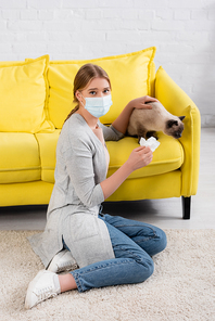 Woman holding napkin and wearing medical mask during allergy near cat