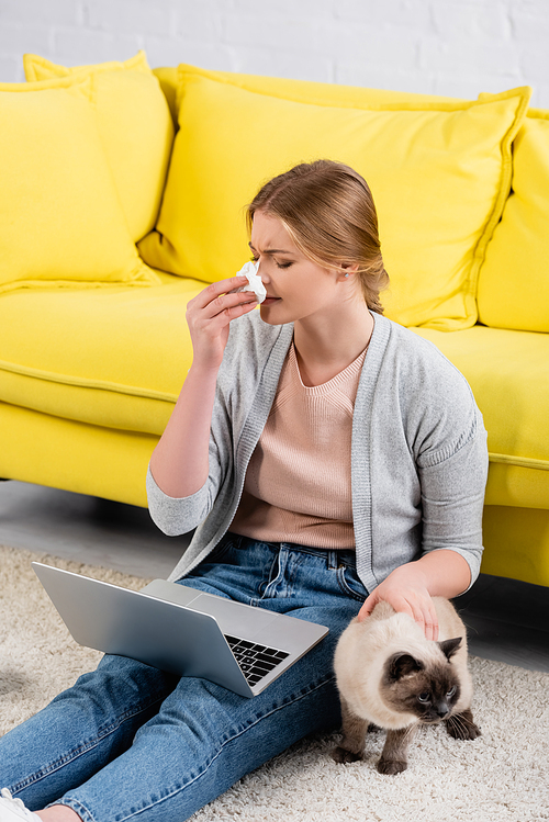 Freelancer holding napkin near laptop and cat during allergy