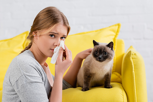 Young woman holding napkin during allergy snuffle near siamese cat on couch