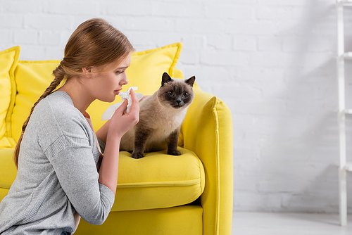 Side view of woman with napkin looking at siamese cat during allergy at home