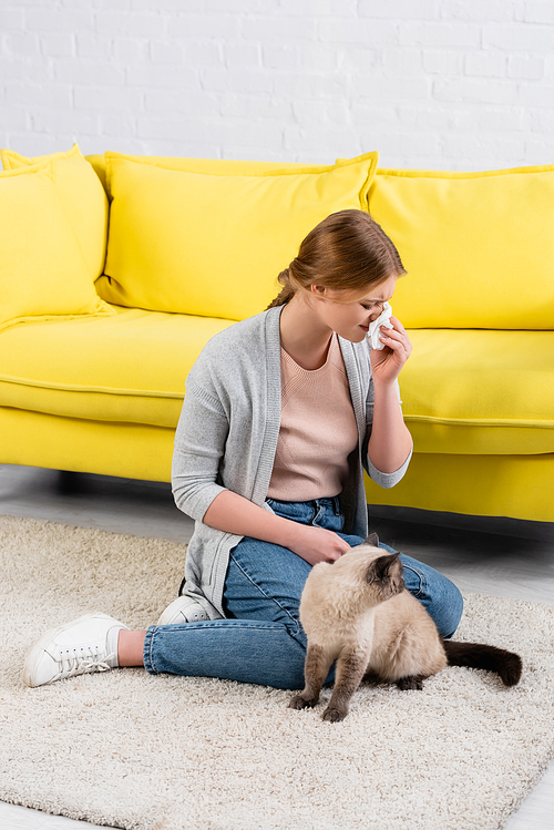Woman suffering from allergy snuffle near siamese cat in living room