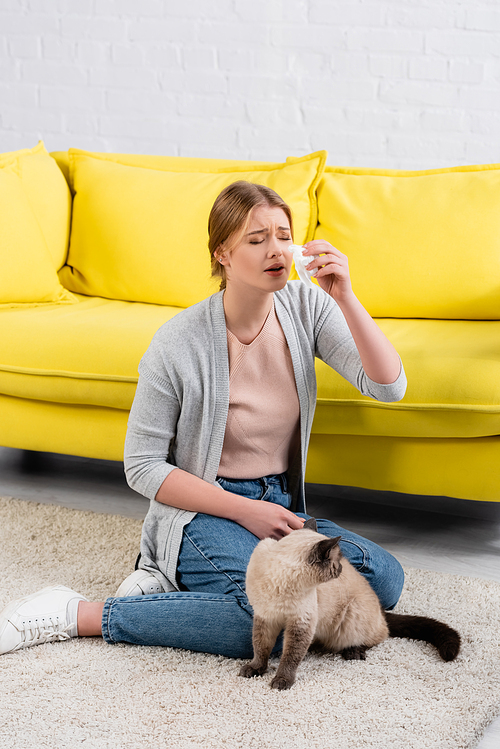Young woman with napkin suffering from allergy near furry siamese cat on carpet in living room