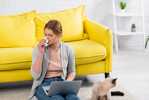 Young freelancer suffering from snuffle near siamese cat at home