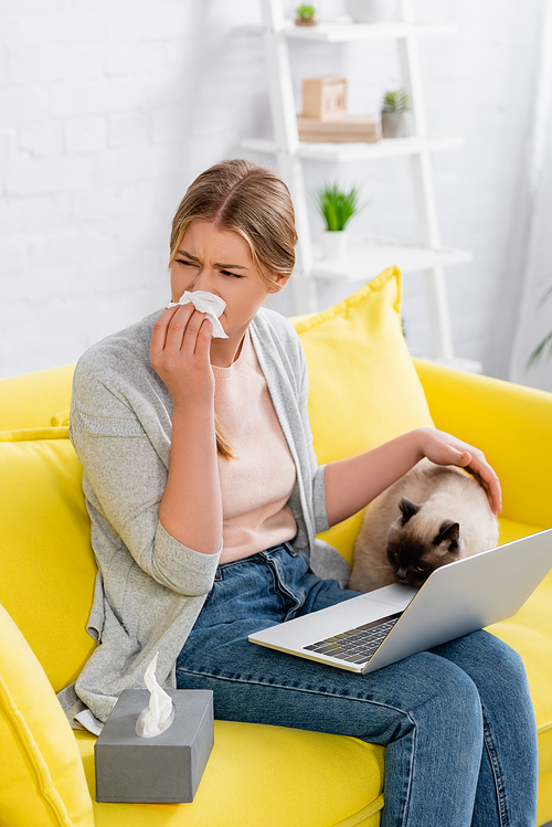 Woman with laptop suffering from allergy reaction near siamese cat