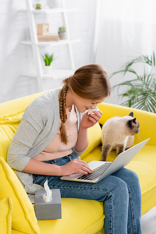 Young freelancer sneezing while using laptop near siamese cat on blurred background