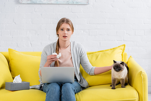 Woman with laptop and napkin  during allergy near siamese cat
