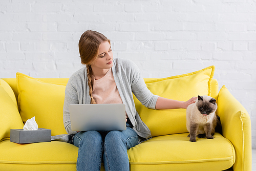 Young freelancer with laptop petting siamese cat near box with napkin
