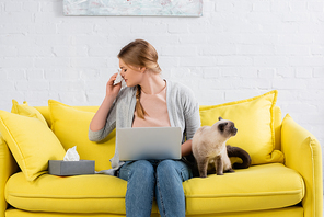 Young freelancer with laptop sneezing during allergy near siamese cat and napkins