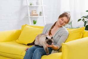 Positive woman looking at siamese cat in living room