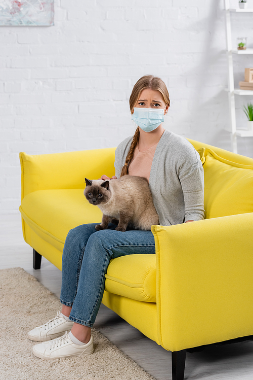 Displeased woman in medical mask  during allergy near furry siamese cat on sofa