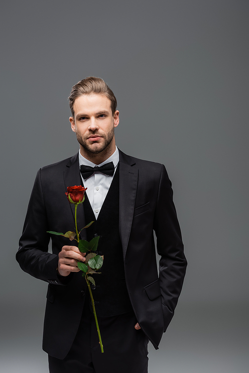 elegant businessman holding red rose while standing with hand in pocket on grey
