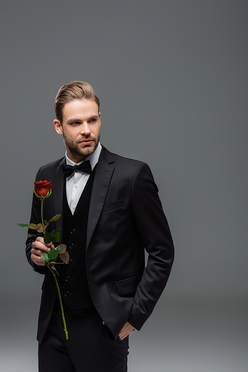 businessman standing with hand in pocket while holding red rose and looking away on grey