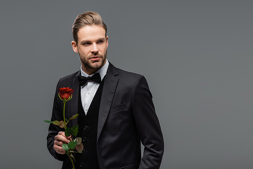 businessman in black suit looking away while standing with red rose isolated on grey
