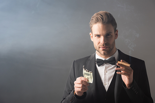elegant businessman holding burned dollar banknote and cigar on grey background with smoke
