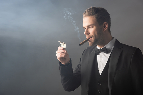 elegant businessman holding burned dollar banknote while smoking cigar on grey background with smoke