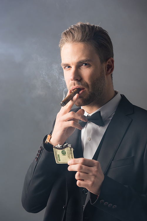 rich businessman smoking cigar while holding burned dollar banknote on grey background with smoke