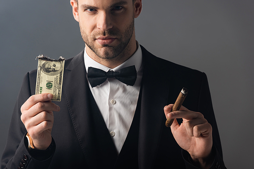 businessman  while holding cigar and burned dollar banknote isolated on grey