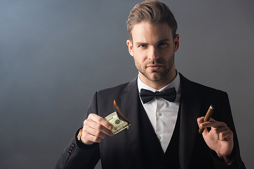 wealthy businessman holding cigar and burning dollar banknote on grey background with smoke