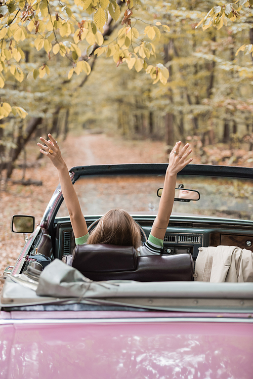 back view of young woman sitting in retro cabriolet in forest