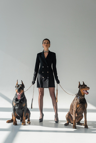 doberman dogs near a confident woman in black blazer dress on grey background with shadows