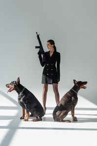 stylish woman holding rifle while looking away near doberman dogs on grey background with shadows