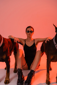 armed woman in bodysuit and sunglasses sitting near dobermans on pink background with yellow light
