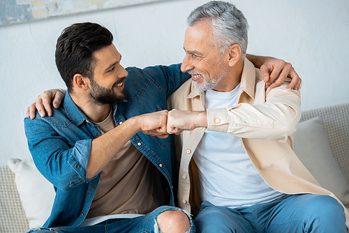 cheerful retired man fist bumping with happy bearded son at home