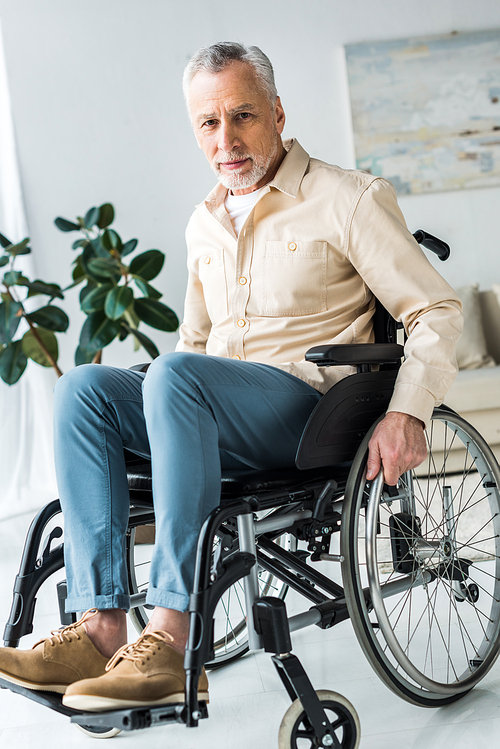 disabled senior man sitting in wheelchair at home and