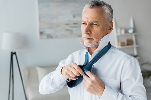 serious and elegant senior man tying blue tie at home