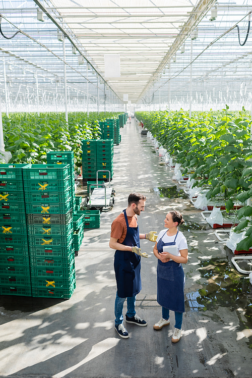 farmer gesturing while talking to african american colleague near boxes in greenhouse