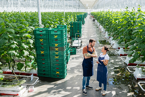 multiethnic farmers in aprons talking in greenhouse near plastic boxes